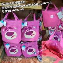香港迪士尼樂園限定 熊抱哥 造型圖案帆布手提 斜背包 (BP0030)